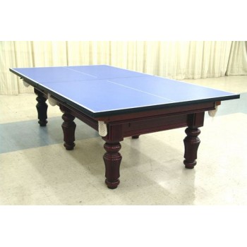 TTW DX 1000 Table Tennis Tops 25mm Indoor 